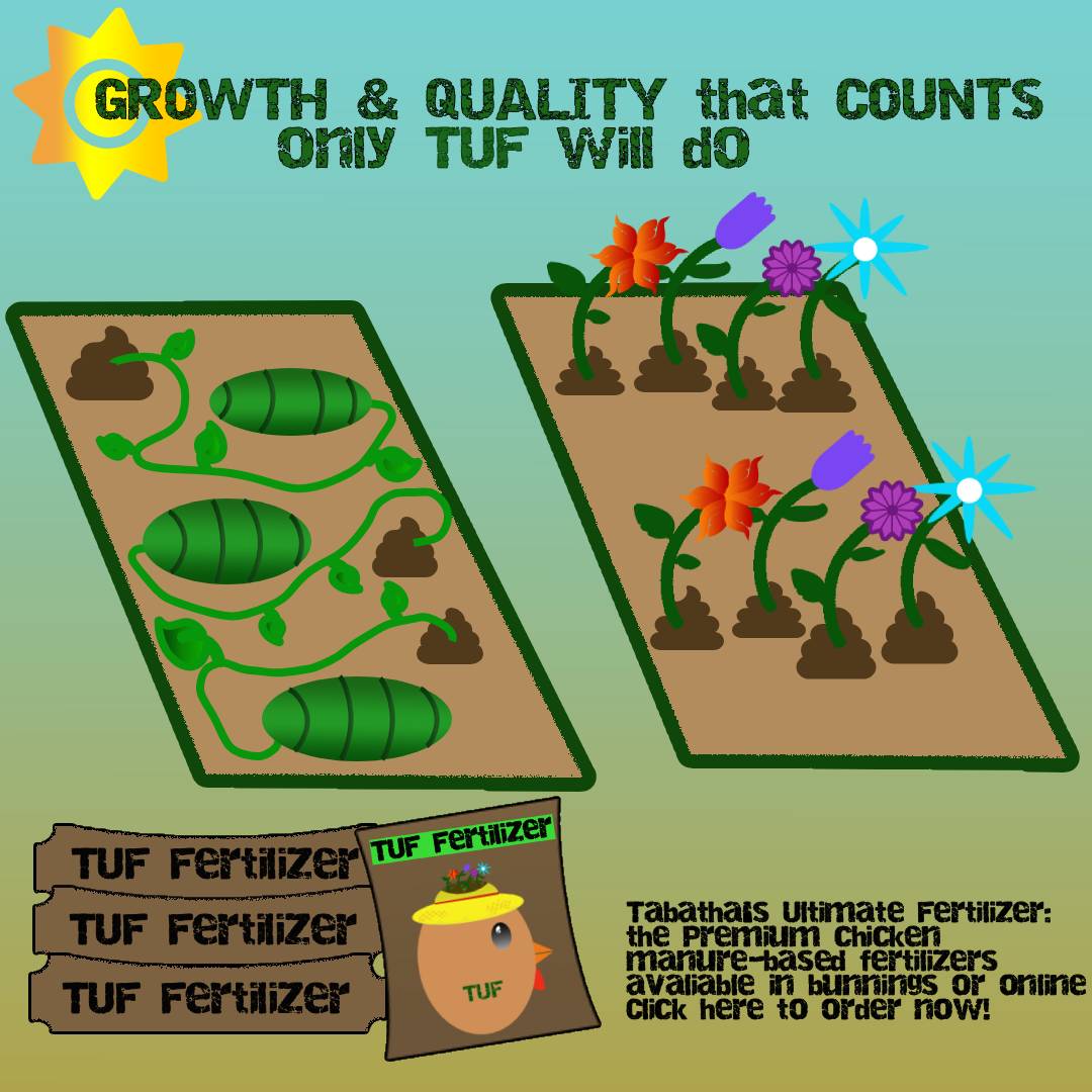 Image of Advertisement